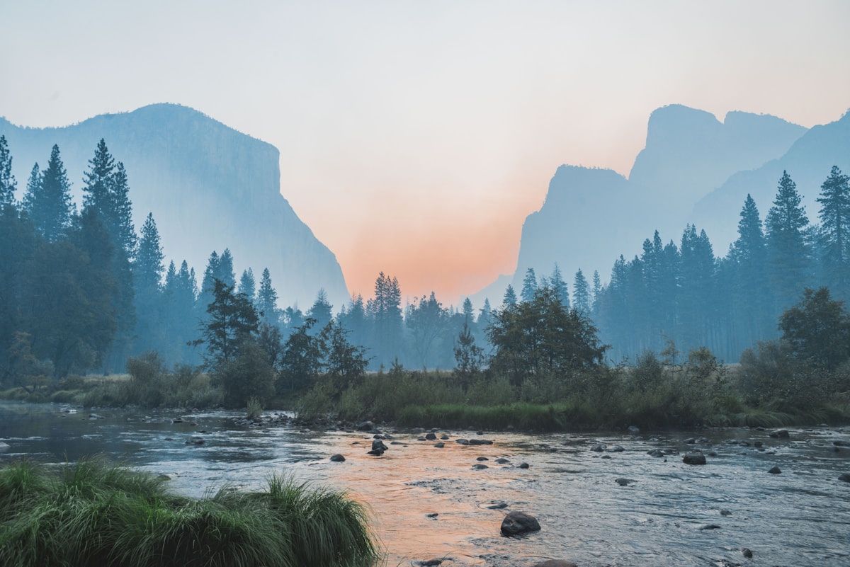 Peaceful nature for mental health learning